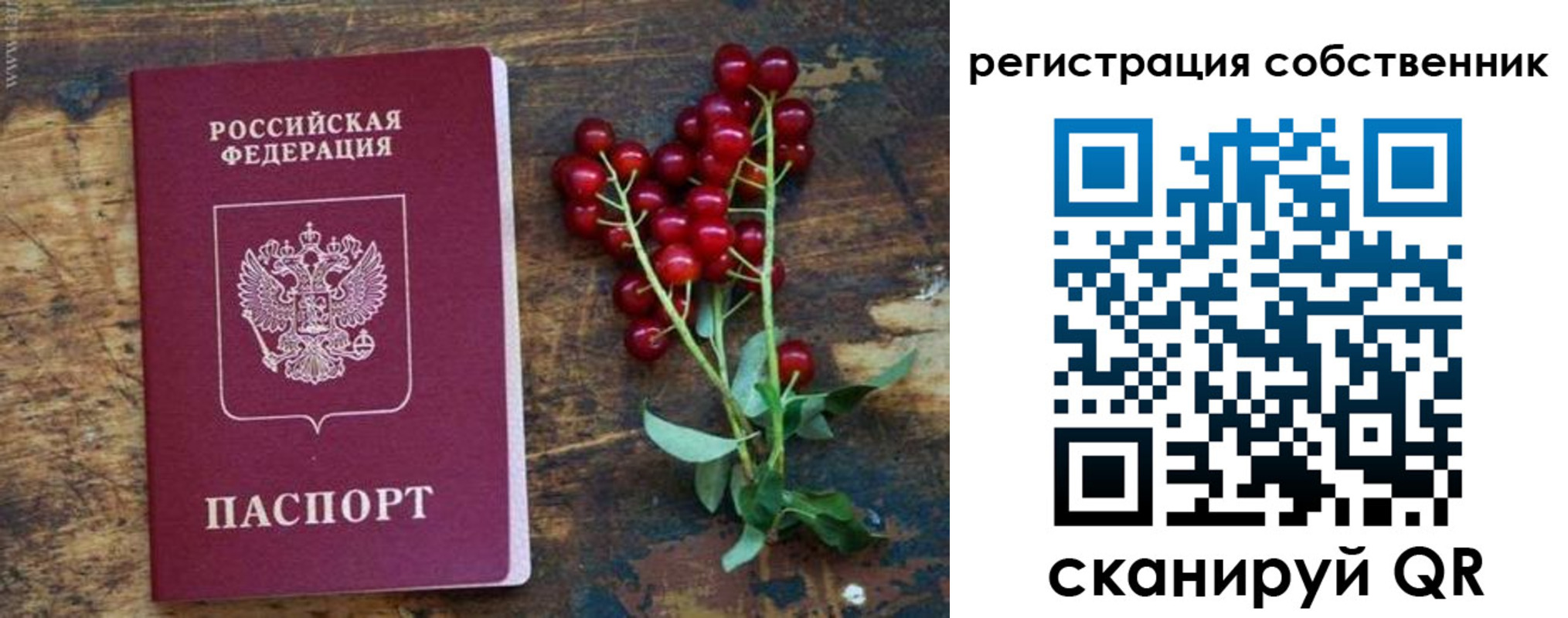 регистрация для дет. сада в Сунже